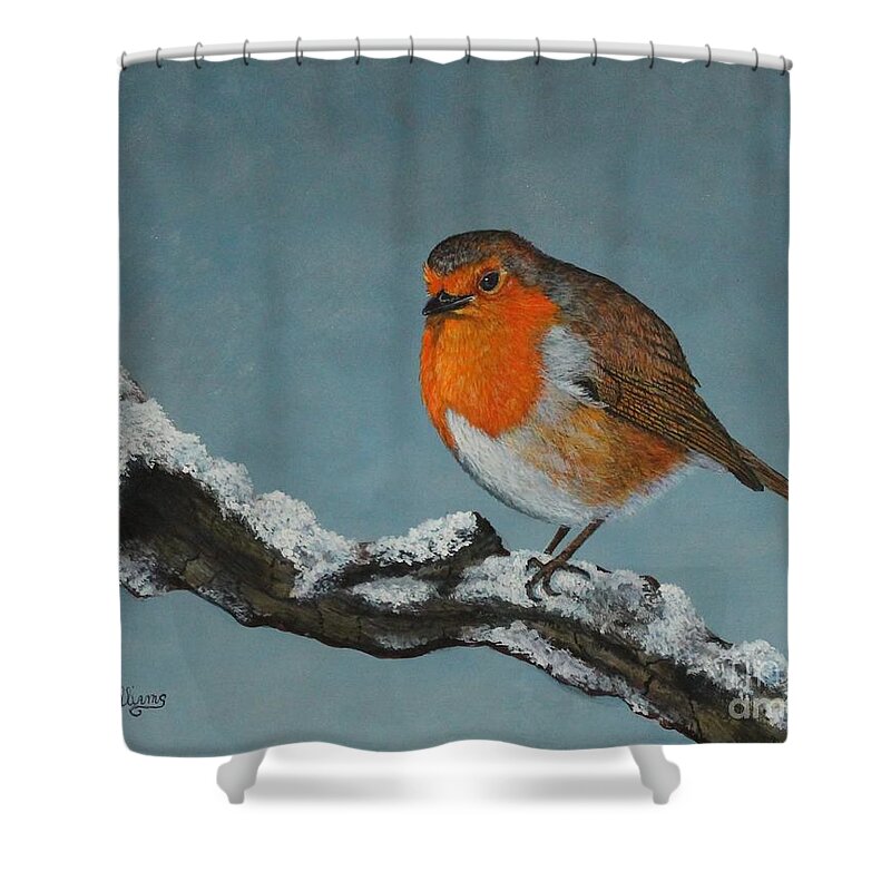 Robin Shower Curtain featuring the painting Mr Robin Toughening Out Mr Winter by Bob Williams