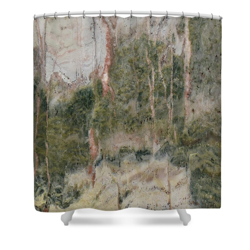 Art In A Rock Shower Curtain featuring the photograph Mr1037d by Art in a Rock