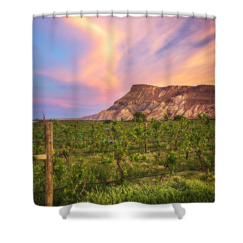 Mt Garfield Shower Curtain featuring the photograph Mt Garfield and the Palisade Vineyards by Ronda Kimbrow