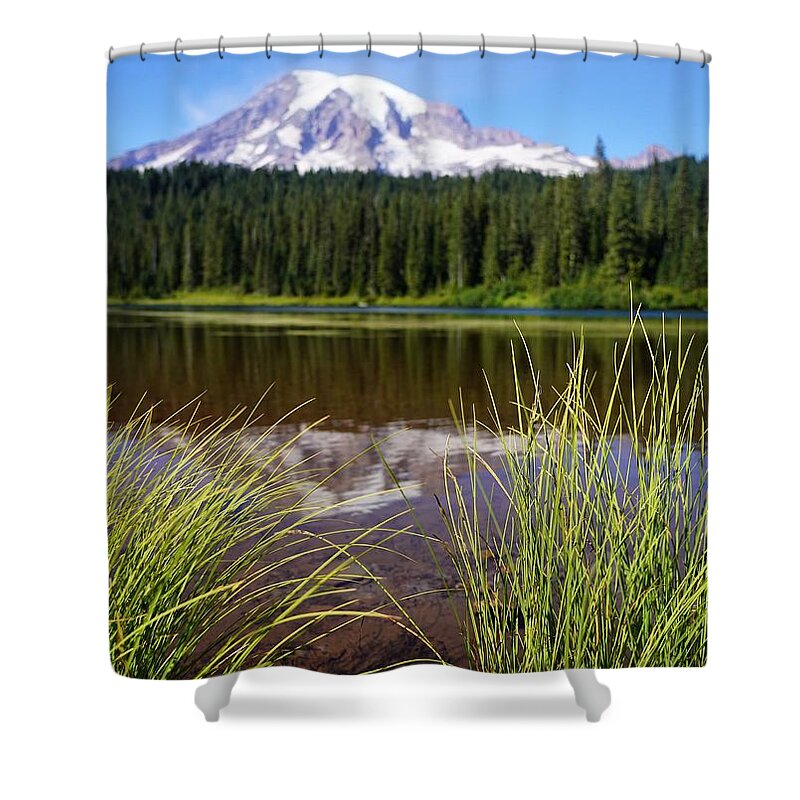 Mt Rainier Shower Curtain featuring the photograph Mt Rainier Reflected with Reeds by Peter Mooyman