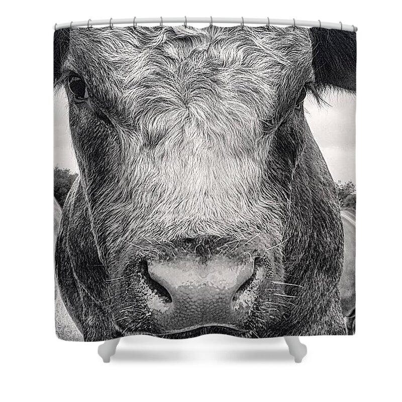 Bull Shower Curtain featuring the pyrography Muscle Man by Elizabeth N Gregory