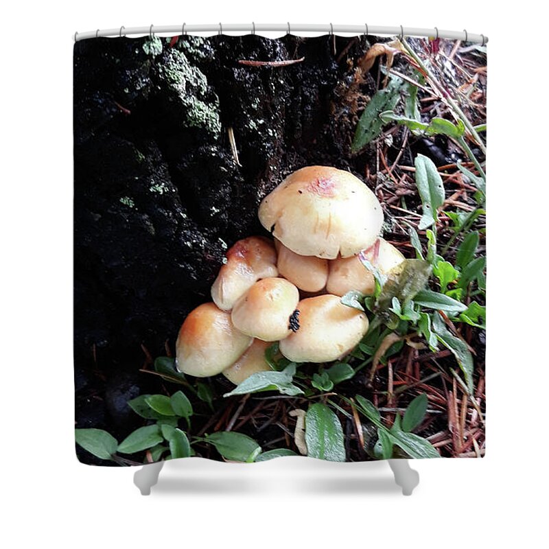 Mushroom Cluster Shower Curtain featuring the digital art Mushroom Cluster by Tom Janca