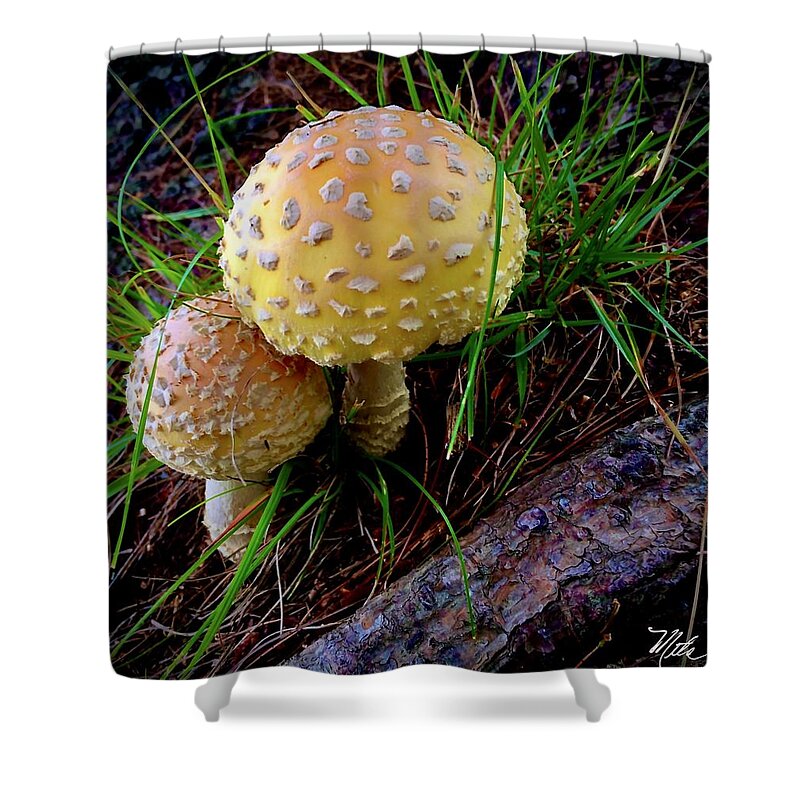  Shower Curtain featuring the photograph Mushroom cuddle by Meta Gatschenberger