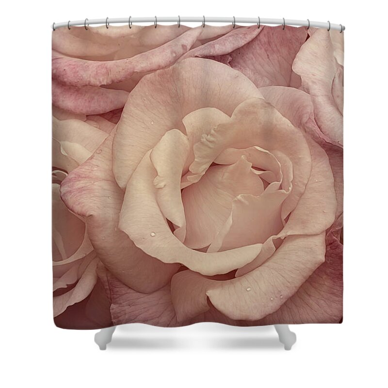 Rose Shower Curtain featuring the photograph Muted Roses by Mary Jo Allen