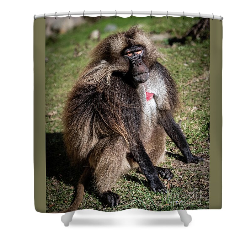 David Levin Photography Shower Curtain featuring the photograph My Best Side by David Levin