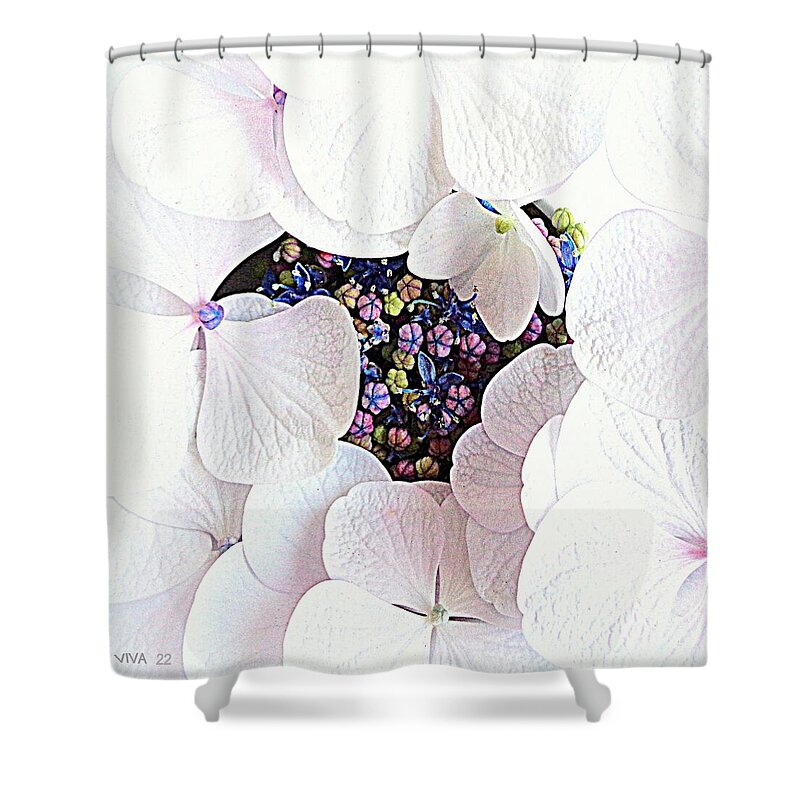 White Shower Curtain featuring the photograph My Hydrangea-Her Secret Life  by VIVA Anderson