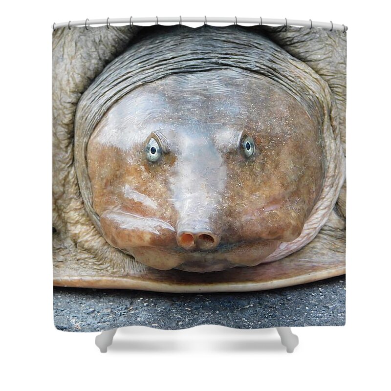 Nature Shower Curtain featuring the photograph My Little Buddy by Gena Herro