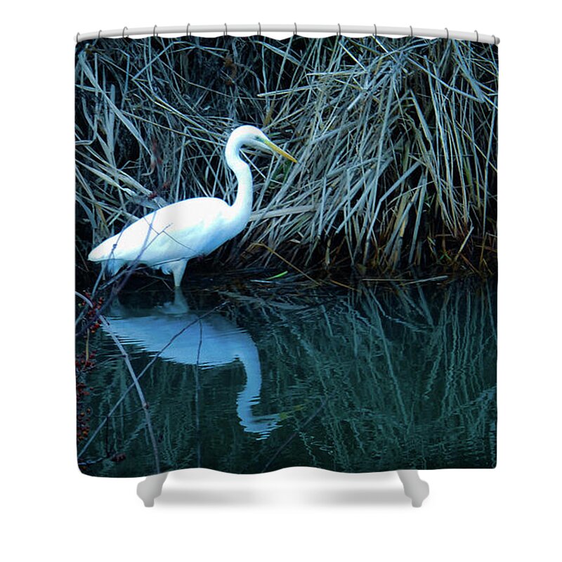 Egret Shower Curtain featuring the photograph My reflection by Tim Ernst
