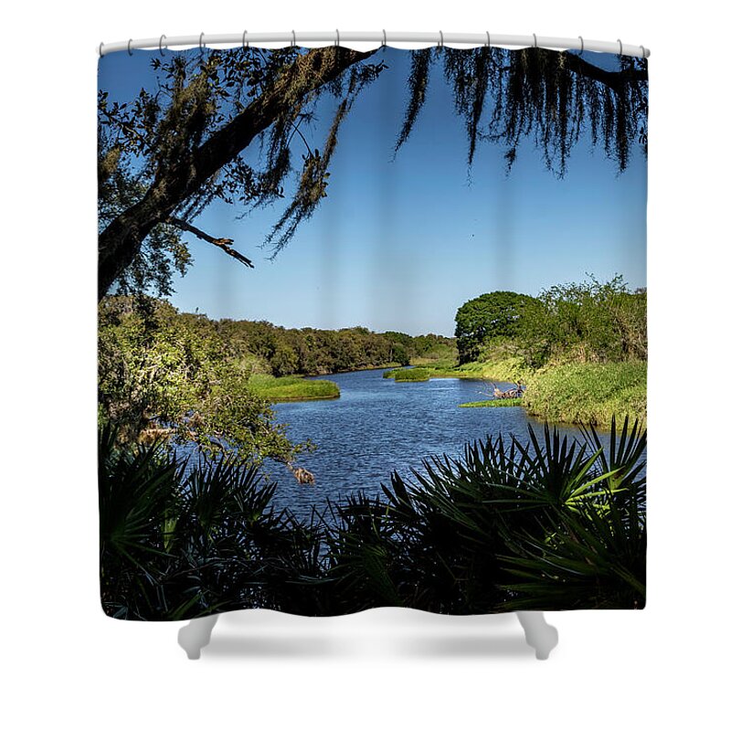 Florida Shower Curtain featuring the photograph Myakka River View Through the Jungle by Robert Wilder Jr