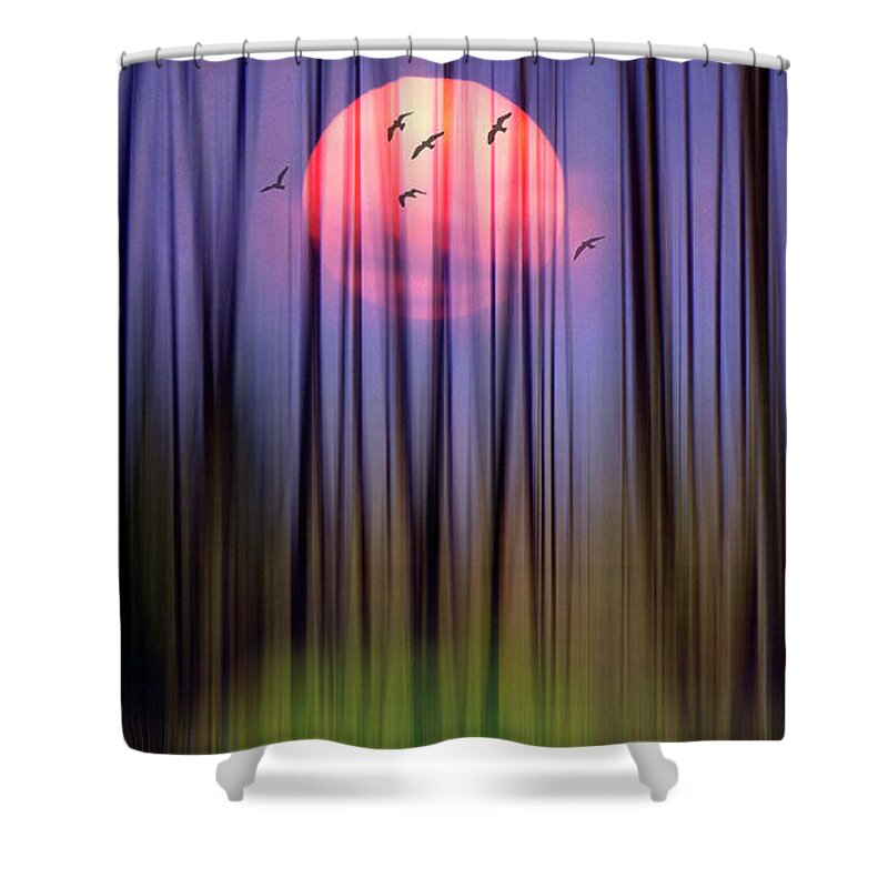Nag006309 Shower Curtain featuring the photograph Mystical Forest by Edmund Nagele FRPS