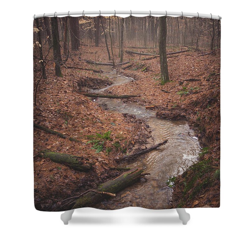 Fog Shower Curtain featuring the photograph Mystical Forest by Grant Twiss