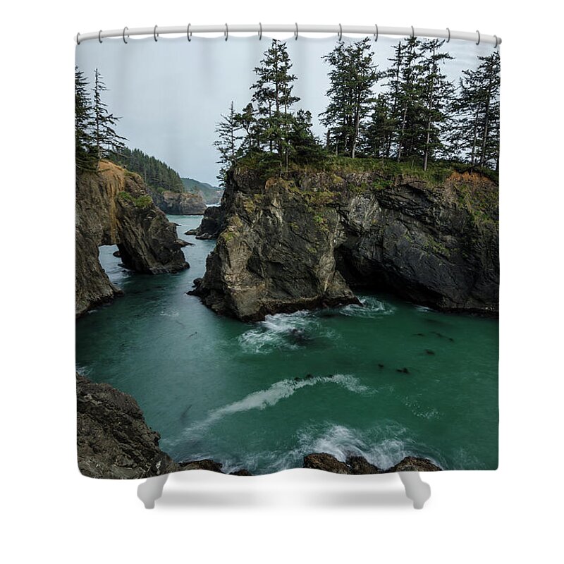Oregon Shower Curtain featuring the photograph Mystical Muse No.2 by Margaret Pitcher