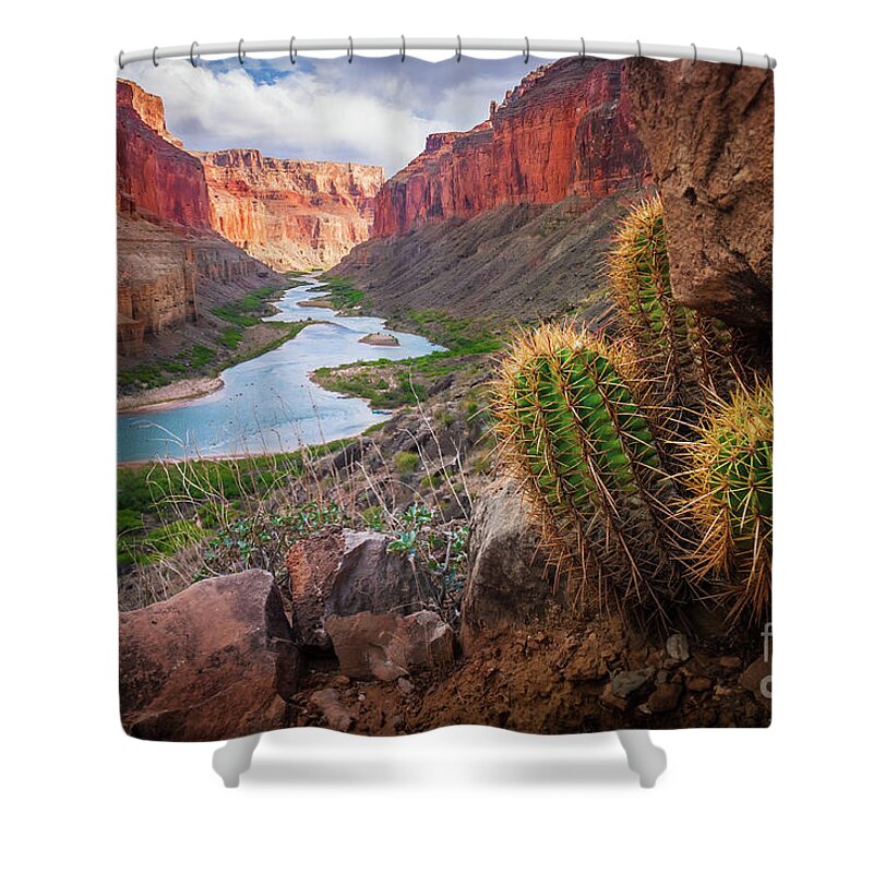 America Shower Curtain featuring the photograph Nankoweap Cactus by Inge Johnsson