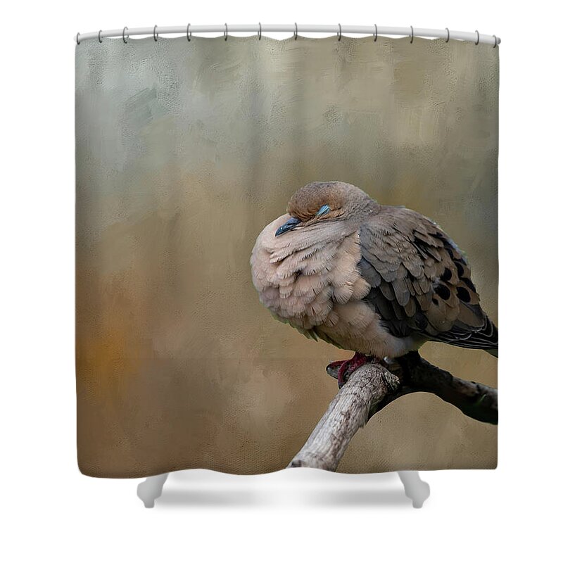 Mourning Dove Shower Curtain featuring the photograph Nap Time by Cathy Kovarik