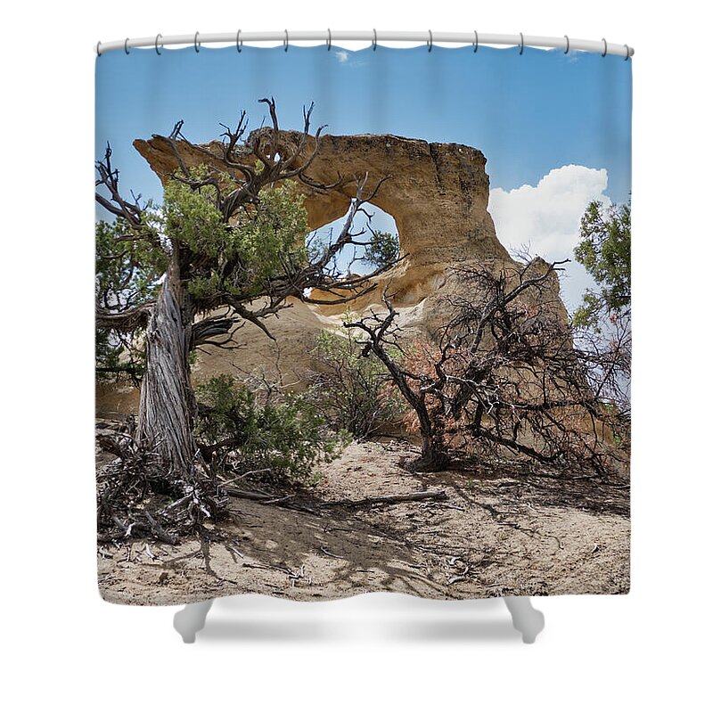 Landscapes Shower Curtain featuring the photograph Natural Arch by Segura Shaw Photography