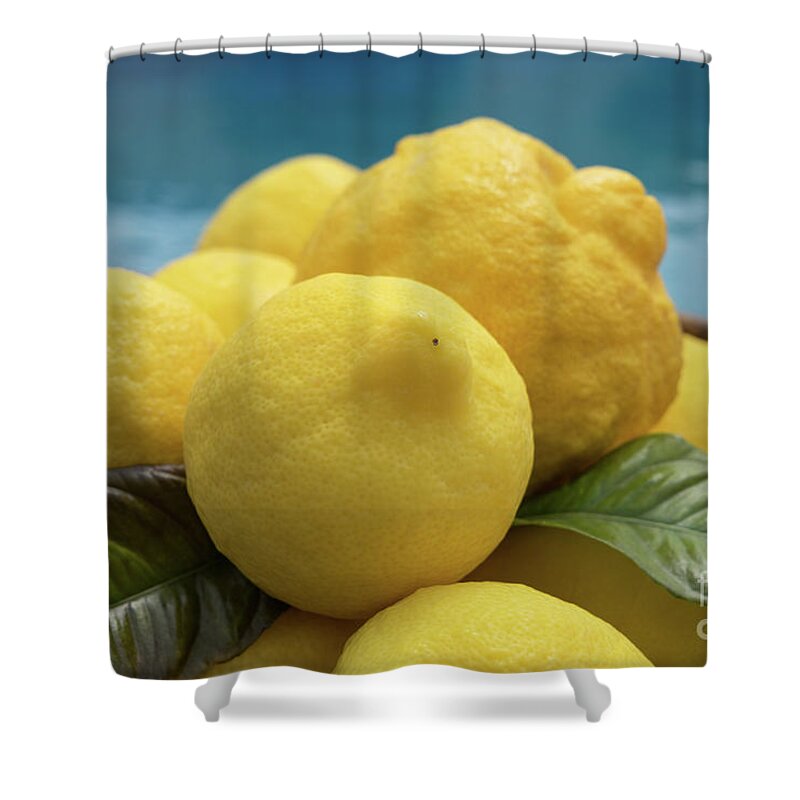 Lemon Tree Shower Curtain featuring the photograph Natural lemons and lemon leaves by the pool by Adriana Mueller