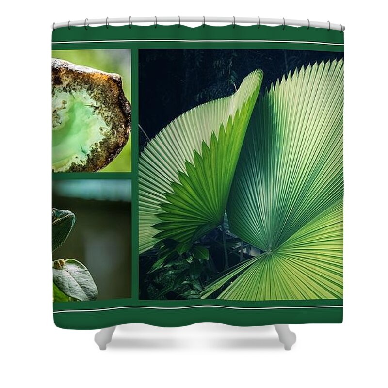 Chameleon Shower Curtain featuring the mixed media Nature As Art by Nancy Ayanna Wyatt