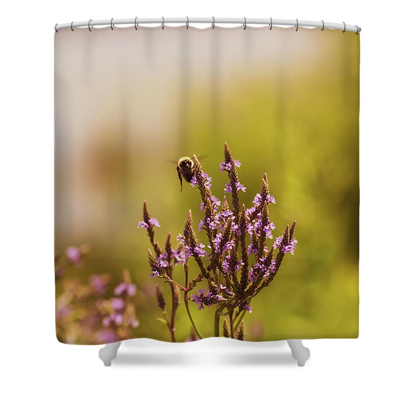 Bee Shower Curtain featuring the photograph Bees by Amelia Pearn