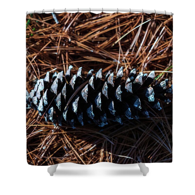 Nature Shower Curtain featuring the photograph Nature Photography - Pine Cone 2 by Amelia Pearn