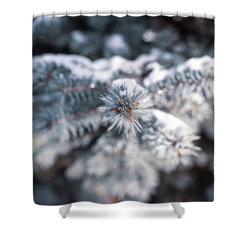 Landscapes Shower Curtain featuring the photograph Nature Photography - Snowy Evergreen by Amelia Pearn
