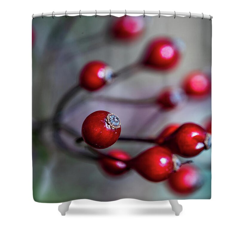 Landscape Shower Curtain featuring the photograph Nature Photography - Winter Berries by Amelia Pearn