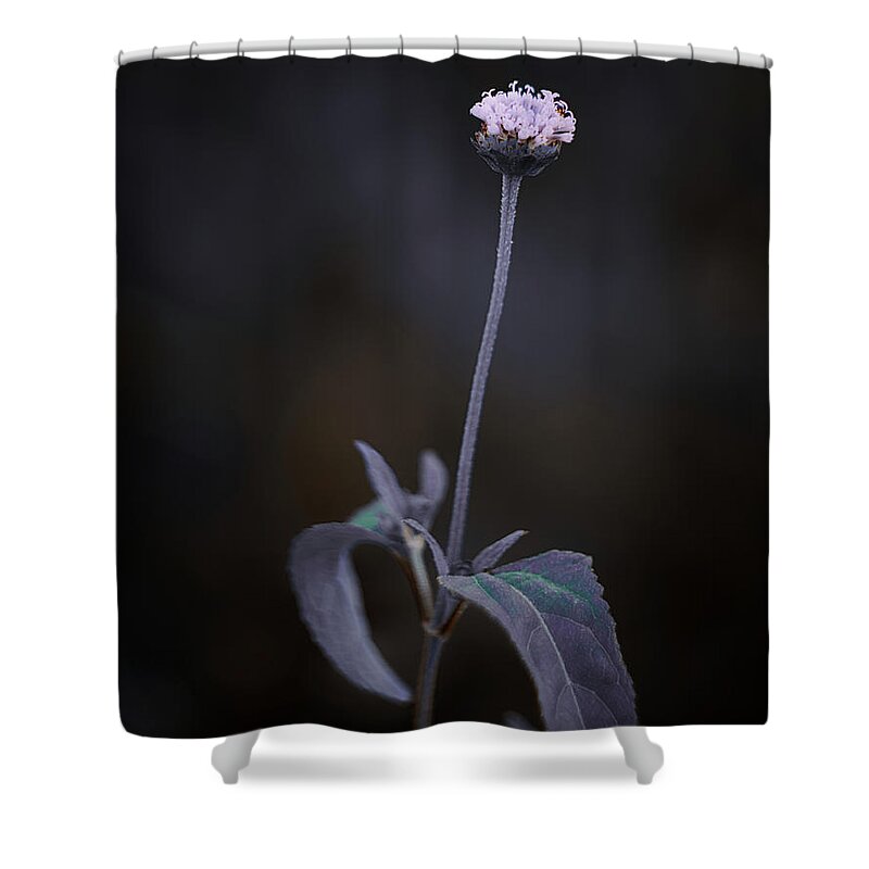 Flowers Shower Curtain featuring the photograph Nature Pic 3 by Gian Smith