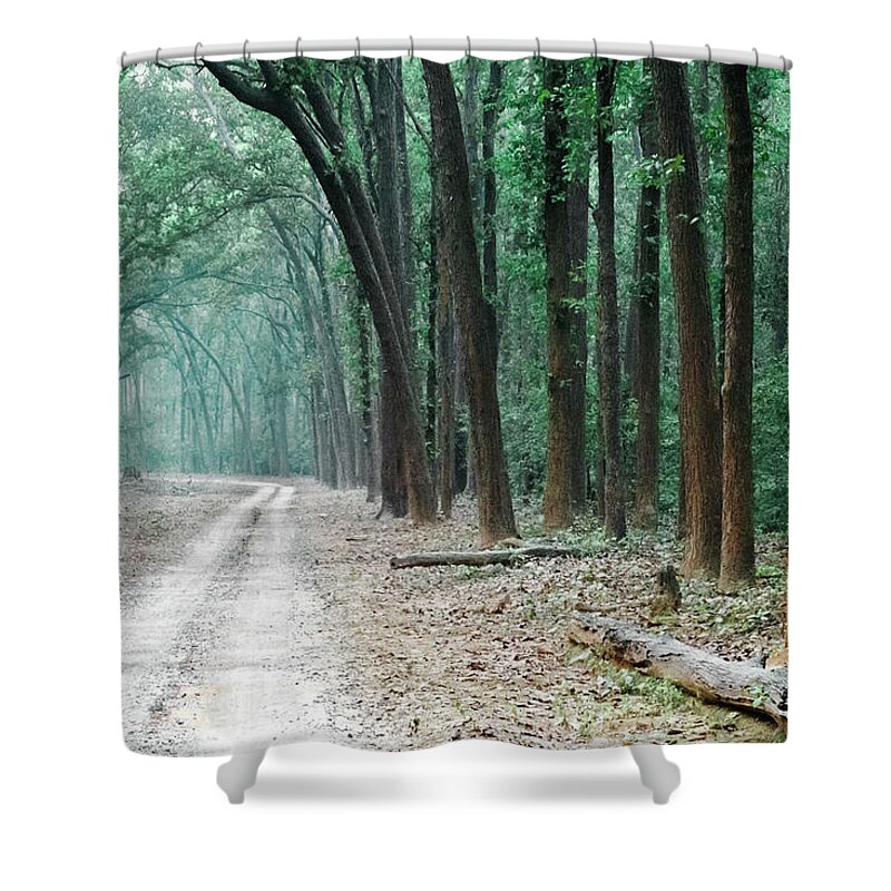 Trees Shower Curtain featuring the photograph The Path Less Understood by Puttaswamy Ravishankar