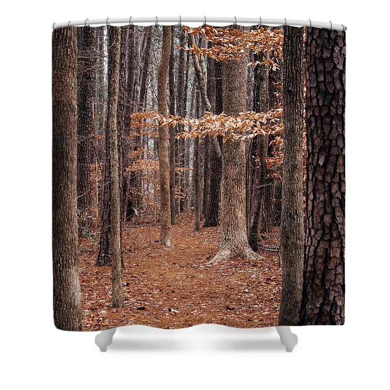 Nature Shower Curtain featuring the photograph Nature Trail by Rick Nelson