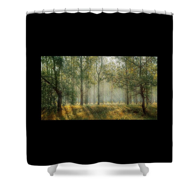 Wall Art Shower Curtain featuring the digital art Nature wall Art - Forest Scene by Caterina Christakos