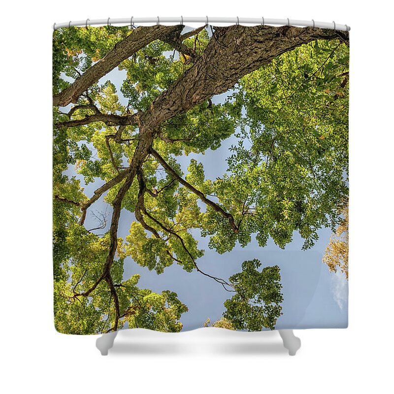 Beautiful Shower Curtain featuring the photograph Nature Westchester County NY by Marianne Campolongo