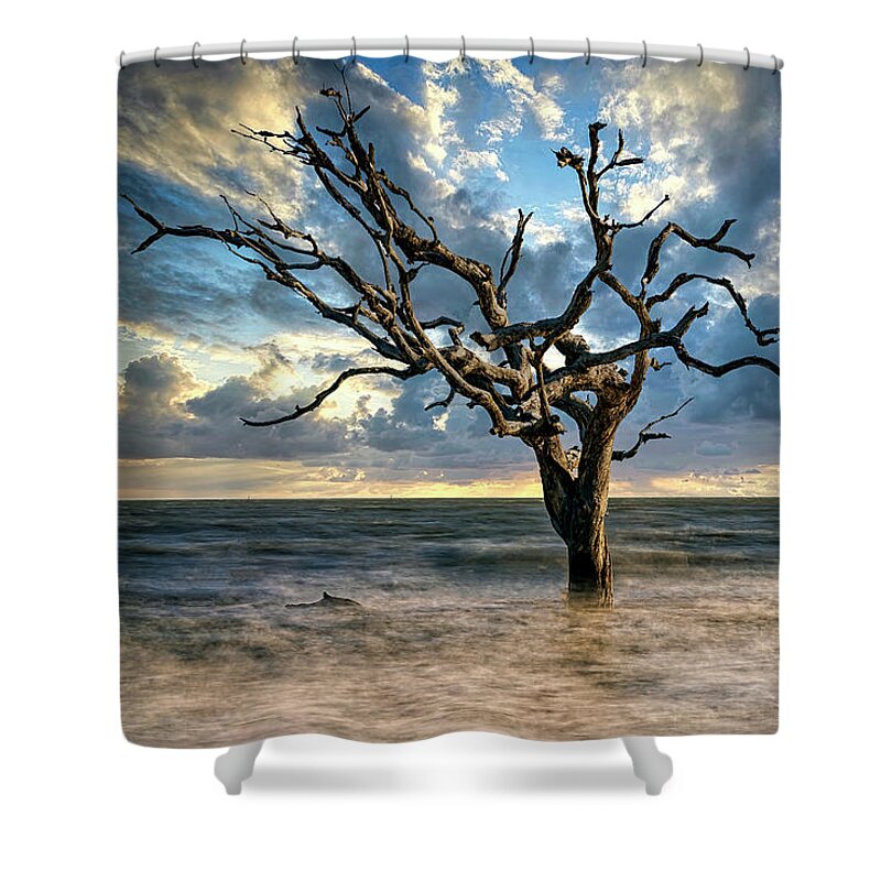 Nature Shower Curtain featuring the photograph Nature's Artistry by DB Hayes