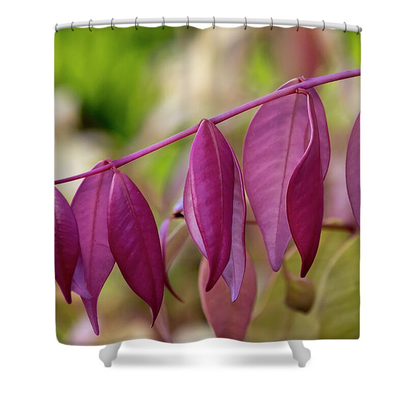 Natures Beauty Shower Curtain featuring the digital art Natures beauty 70003 by Kevin Chippindall