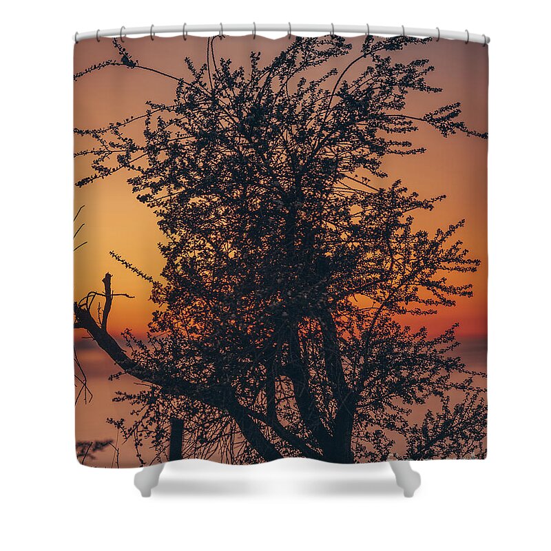 California Sunset Shower Curtain featuring the photograph Nature's Delight by Abigail Diane Photography