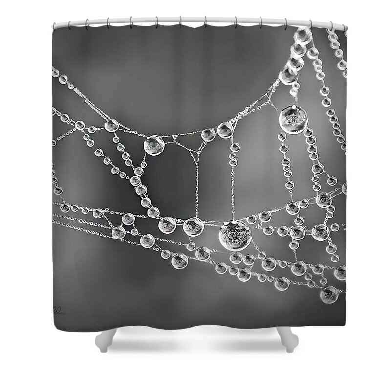 Spider Web Shower Curtain featuring the photograph Natures Jewels by Shara Abel