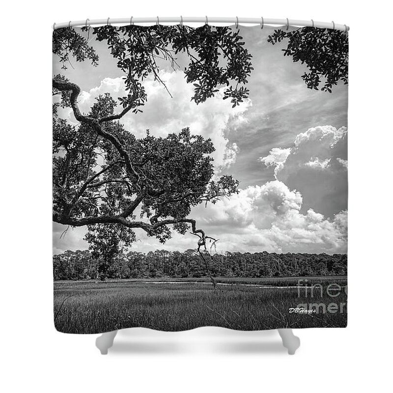 Nature Shower Curtain featuring the photograph Natures Serenity In Black and White by DB Hayes