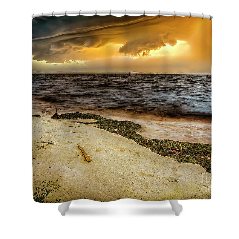 Nature Shower Curtain featuring the photograph Nature's Spectacle by DB Hayes