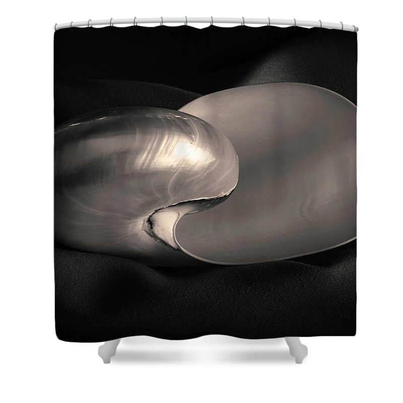 Black Shower Curtain featuring the photograph Nautilus Shell I Toned by David Gordon