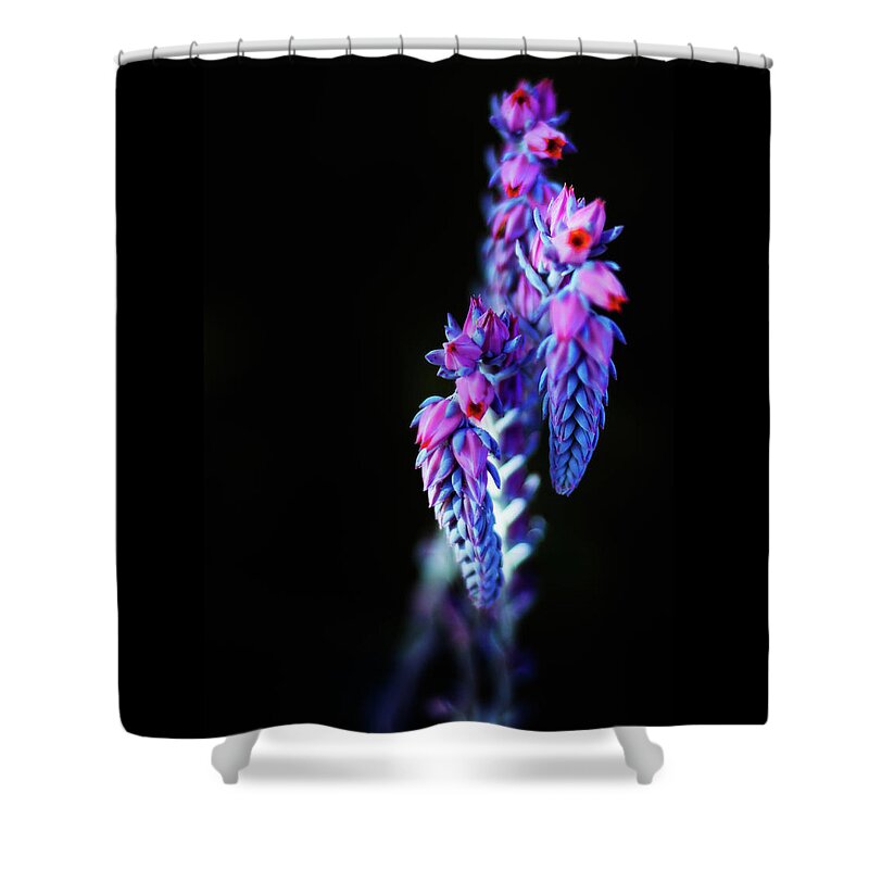 Blue Shower Curtain featuring the photograph Neon Bloom by Jason Roberts