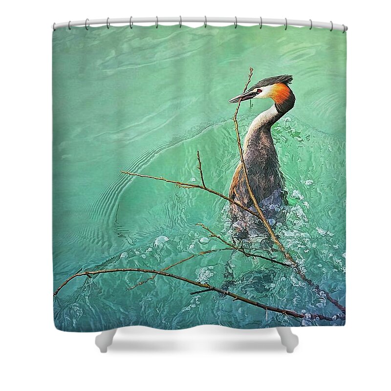 Bird Shower Curtain featuring the photograph Nesting time by Tatiana Travelways