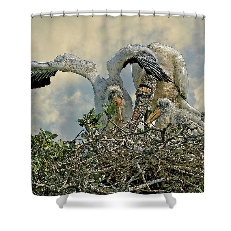 Wood Storks Shower Curtain featuring the digital art Nesting Wood Storks Cps by Larry Linton