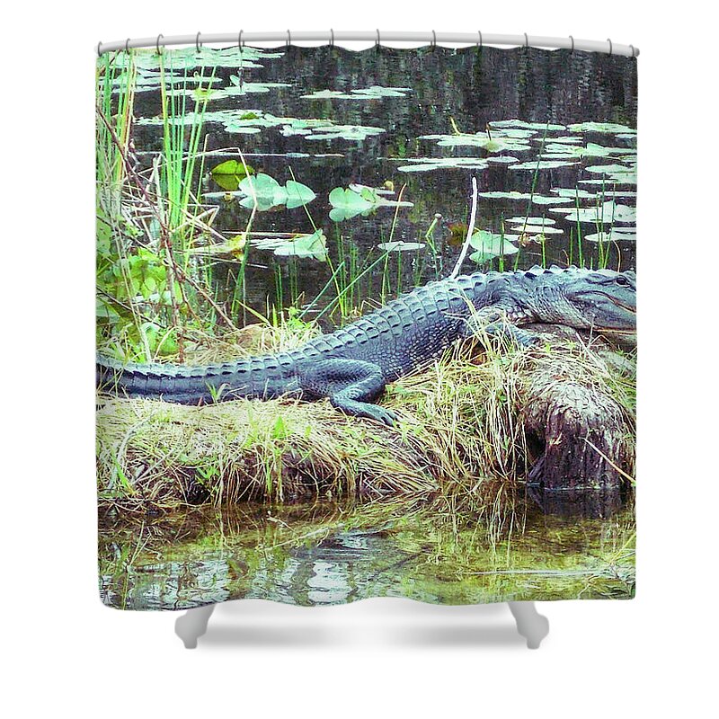 Alligator Shower Curtain featuring the photograph Never Trust a Smiling Reptile 2 by David Ragland