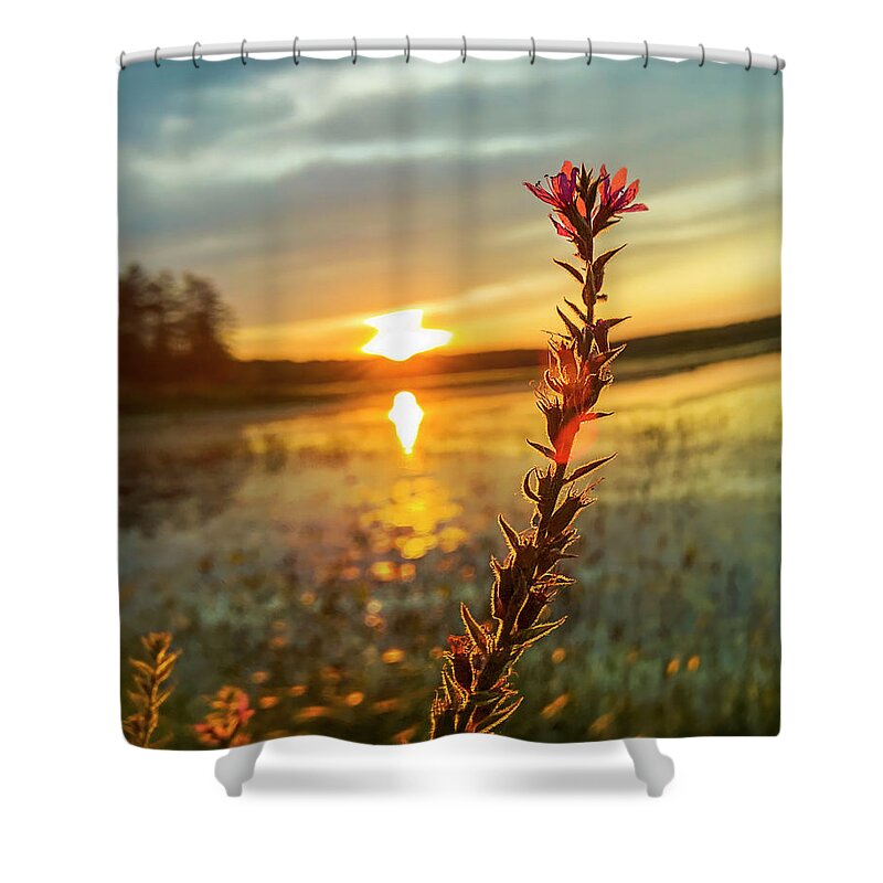 Loosestrife Shower Curtain featuring the photograph New Gold Dream by Jerry LoFaro