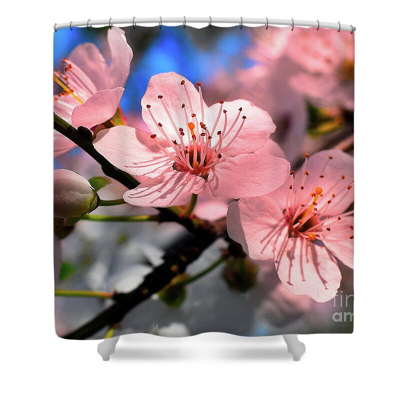  Trees Shower Curtain featuring the photograph New Hope Flower Blossoms In Spring  by Leonida Arte
