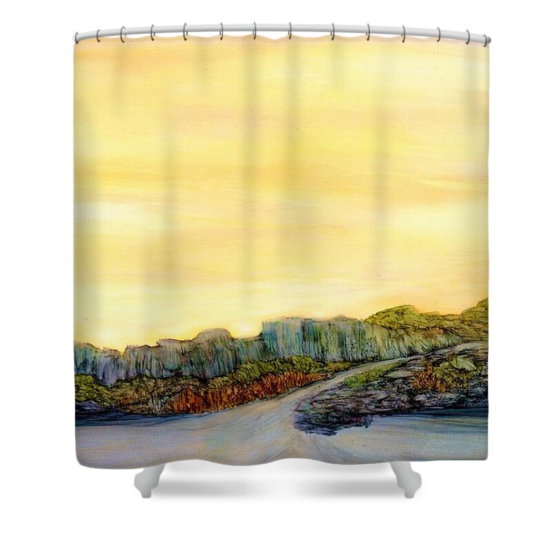 Sunrise Shower Curtain featuring the painting New Mexico Skyline by Angela Marinari