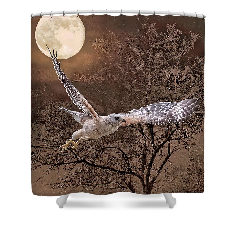 Bird Shower Curtain featuring the photograph Night Hawk by Shara Abel