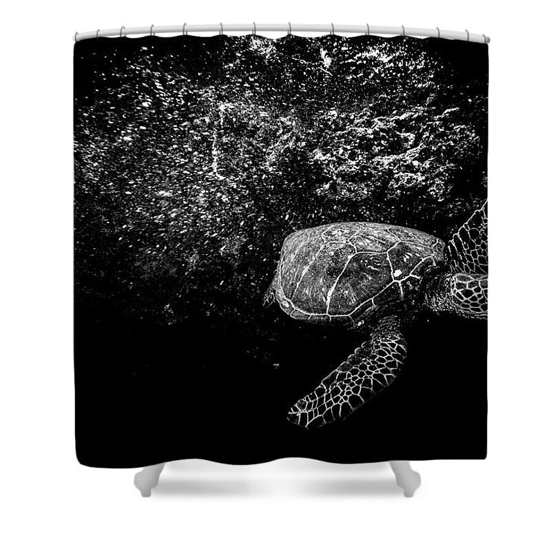 Night Turtle Shower Curtain featuring the photograph Night Turtle by Leonardo Dale