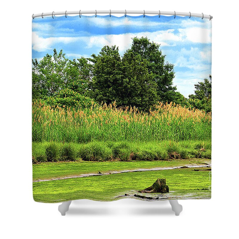 Nj Meadowlands Landscape Shower Curtain featuring the photograph NJ Meadowlands - Layers of Life by Regina Geoghan