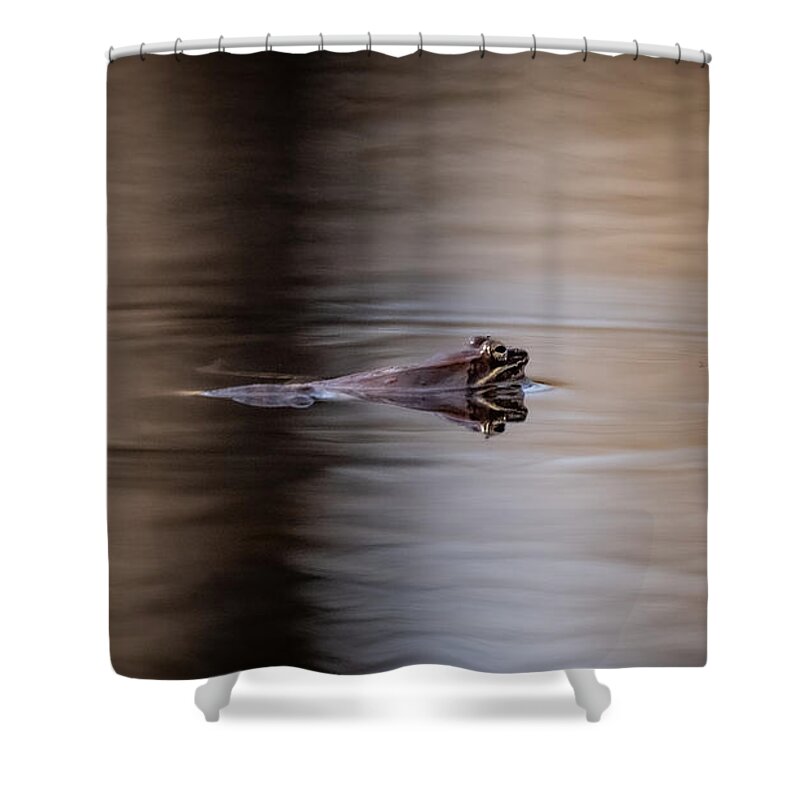 Animal Shower Curtain featuring the photograph Noisy but Lovely by Linda Bonaccorsi