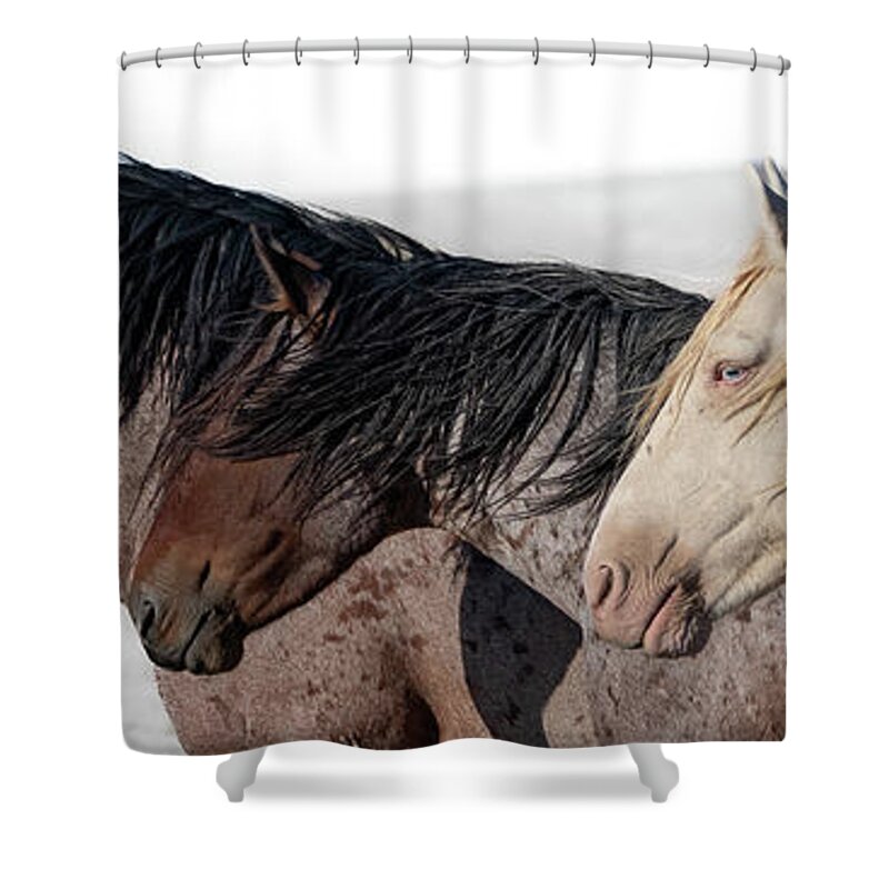 Panorama Shower Curtain featuring the photograph Norman and Friends by Mary Hone
