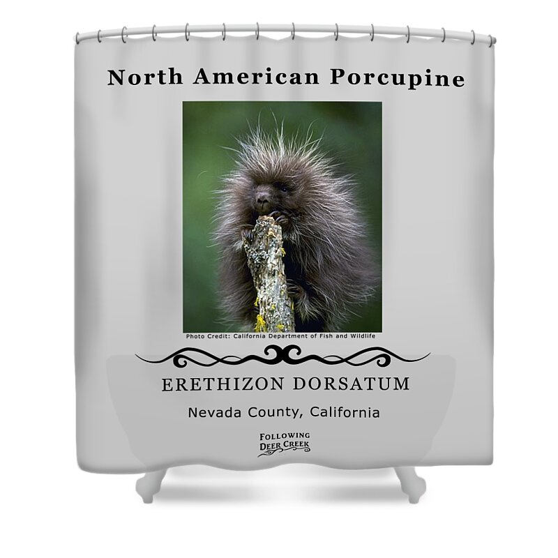 Porcupine Shower Curtain featuring the digital art North American Porcupine by Lisa Redfern
